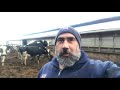 Keith England - Winter Dairy Farming