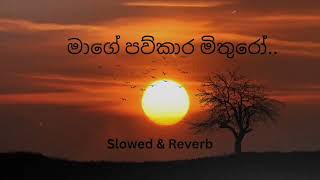 Download lagu Mage Paukara Mithuro..මාගේ පව්කාර මිතුරෝ.. Slowed & Reverb..                   #music #slowed#viral  mp3