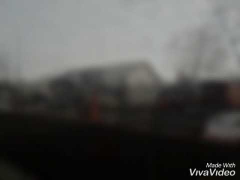 Ferma traian ialomita ,Chesaru Viorel