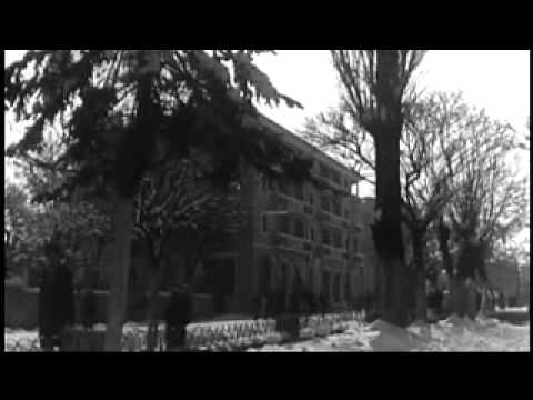 Syckat e bukura - kori karakteristik i Korces LIRA