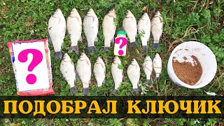 Осенняя ловля карася 2019 г