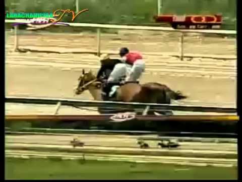 LA RINCONADA 3 CARRERA DOMINGO 24 DE AGOSTO DEL 2014