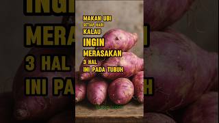 Download lagu Makan Ubi Setiap Hari Kalau Ingin Merasakan 3 Hal Ini Pada Tubuh mp3