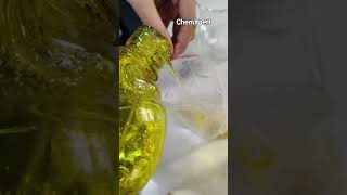 DNA isolation practical Class 12 | Biology Practical