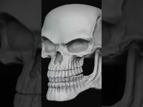 Bad to the bone riff