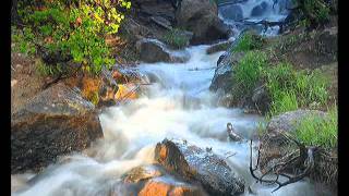 A Voice Calling Out by Bethany Dillon