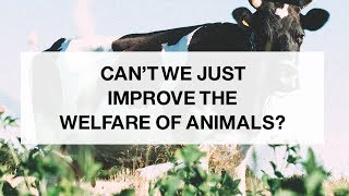Can&#39;t We Just Improve the Welfare of Animals?