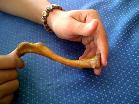 Tratamientos de la columna vertebral Dikul Fuerte dolor de espalda durante el embarazo 2 meses