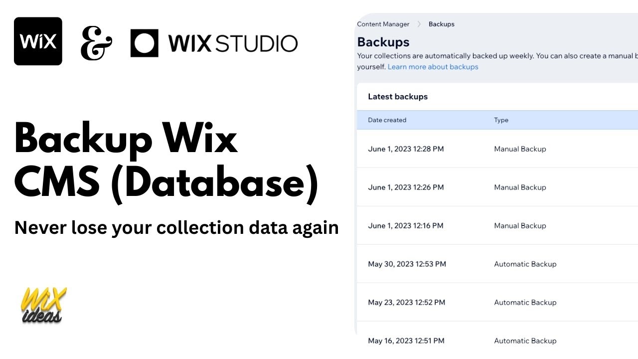 Backup Wix CMS (Database) | Wix Ideas