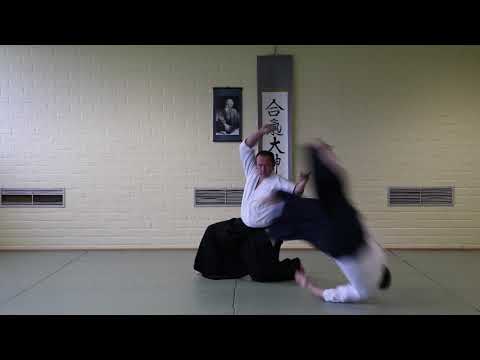 aikido - Vechtsport - Den Haag