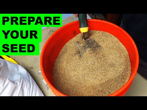 Preparing grass seed for quick germination