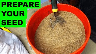 Preparing Grass Seed for Quick Germination