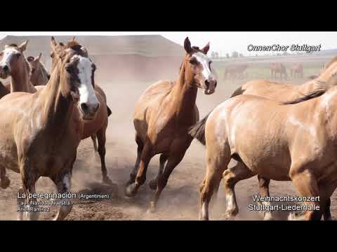 OnnenChor Stuttgart - La peregrinación (aus „Missa Criolla“, Argentinien)
