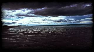 Bassnectar - Cozza Frenzy (316 Remix) |FREE|