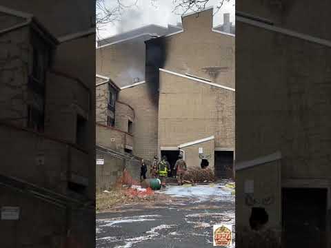 Buffalo FD 2 Alarm Fire: Shoreline Apartments