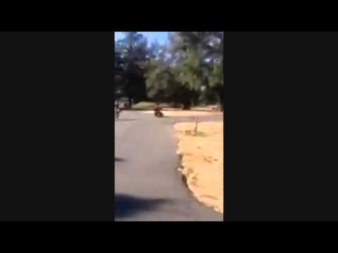 My Razor Crazy Cart Video Compilation with 2 songs from Red Jumpsuit Apparatus