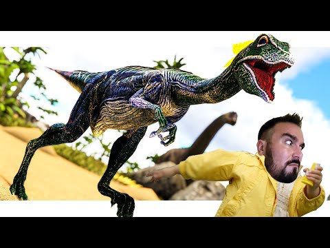 ARK, but EVERYTHING is OP