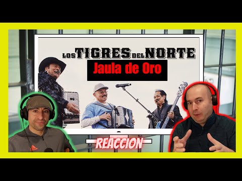 🇲🇽   Españoles reaccionan a los tigres del norte "jaula de oro" 🇪🇸