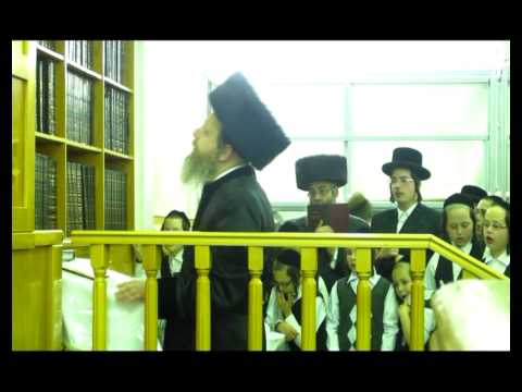 האדמו"ר מדז'יקוב - ויזניץ, בספירת העומר, מוצ"ש חוה"מ פסח תשע"ג