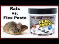 Flex Paste vs. Rodents. Does Flex Paste Actually Block Rodent Holes? Mousetrap Monday