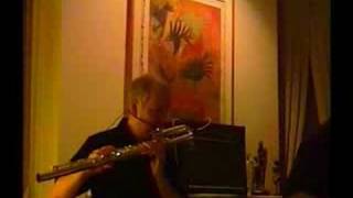 Anders Bostrom Bass Flute solo on Body and Soul