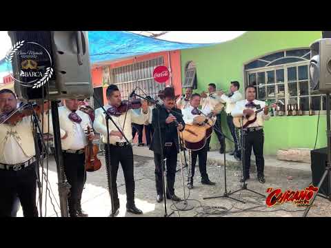 ''El Arbol'' Chava Salazar El Chicano Mayor Y Nuevo Mariachi La Barca