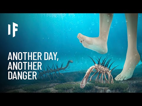 What If You Lived in the Paleozoic Era?