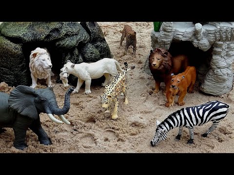 Safari Animal Figurines and Fun Facts