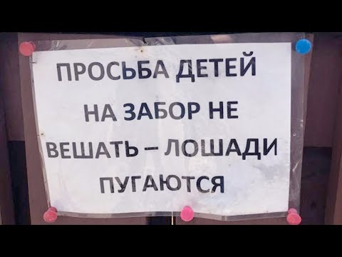 ЛЮТЫЕ ОБЪЯВЛЕНИЯ: ДЕТЕЙ НА ЗАБОР НЕ ВЕШАТЬ - ЛОШАДИ ПУГАЮТСЯ :DD