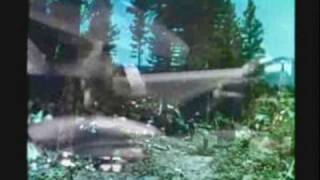 Blockhead "The Strain" - Uncle Tony's Coloring Book