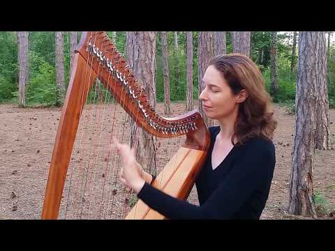 "Carolan's Farewell to Music" // Nadia Birkenstock, Celtic Harp (keltische Harfe, harpe celtique)