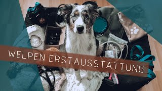 Welpen Erstausstattung | Australian Shepherd