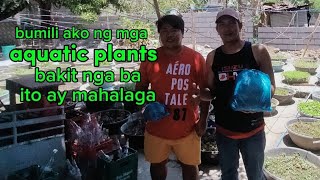 BAKIT MAHALAGA ANG AQUATIC PLANTS