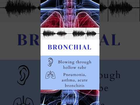 Lung Auscultation Sounds