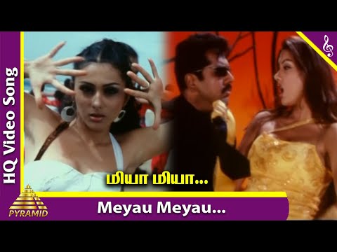 Meyau Meyau Video Song | Aai Movie Songs | Sarathkumar | Namitha | Srikanth Deva | Pyramid Music
