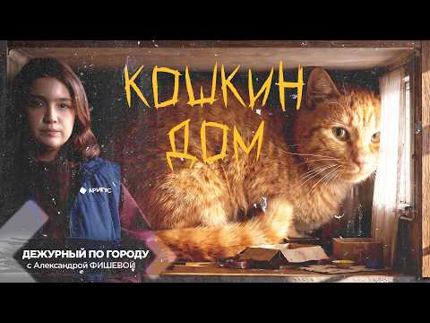 Девять жизней - ноль защиты | ДПГ. Неделя