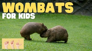 ASL Wombats for Kids gameplay video by aliciawalsh@kecg.org, 7:13 duration