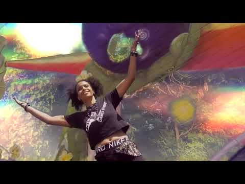 California Cat thumbnail