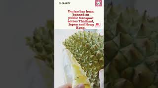 Download lagu Banned due to its pungent smell.#shorts#satisfying#desperado#trending#tesher #youtube#youtubeshorts mp3 Download lagu Banned due to its pungent smell.#shorts#satisfying#desperado#trending#tesher #youtube#youtubeshorts mp3