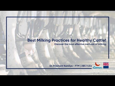 Methods of Milking Explained | Improve Milk Yield & Animal Health