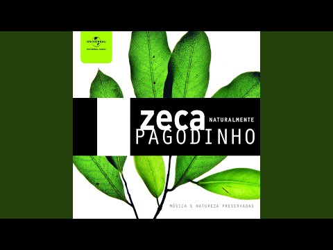 Camarão Que Dorme A Onda Leva / São José De Madureira / Dor De Amor (Ao Vivo)