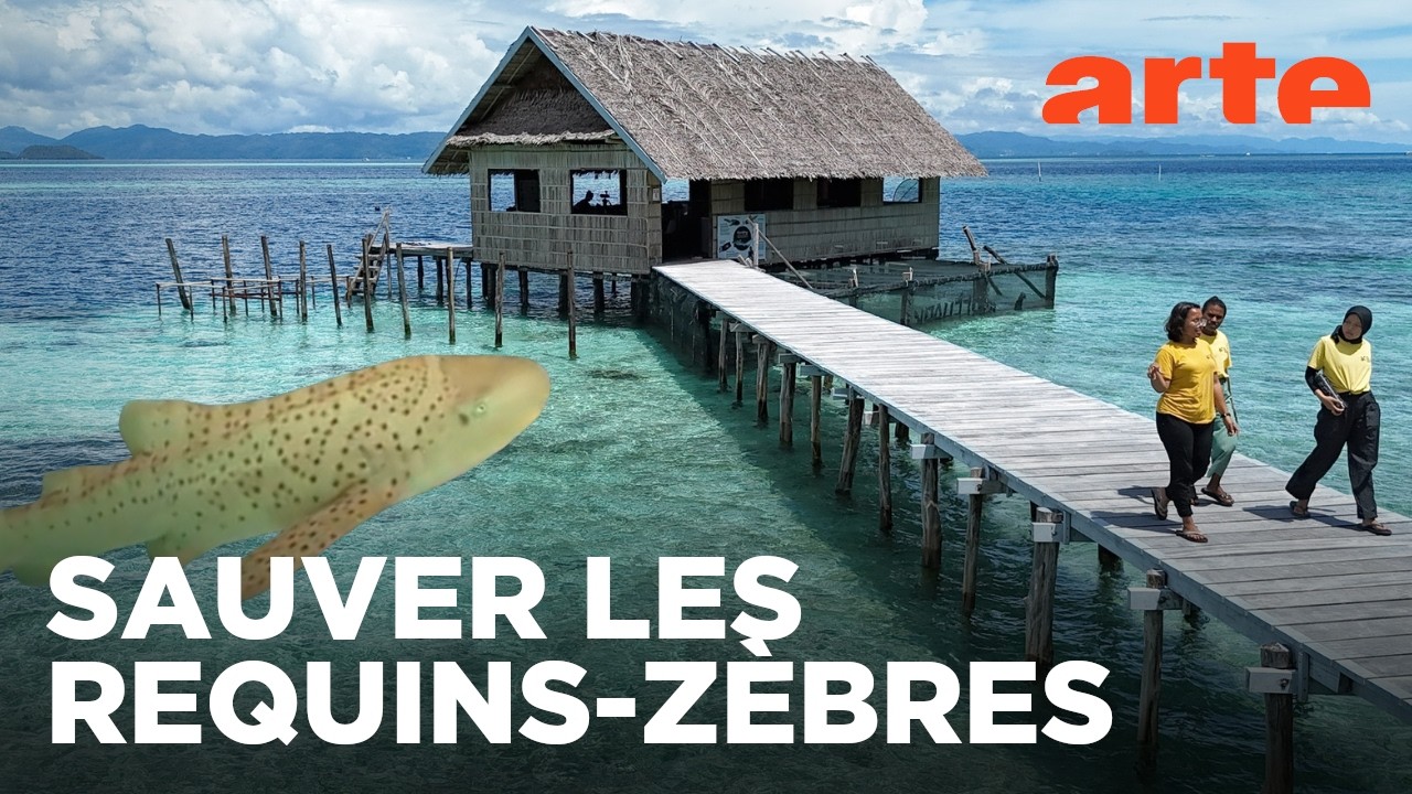 Valoriser la protection de la nature | Bonnes nouvelles de la planète | ARTE