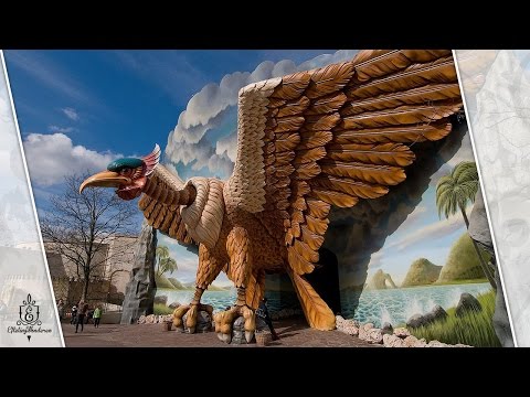 Vogelrok video