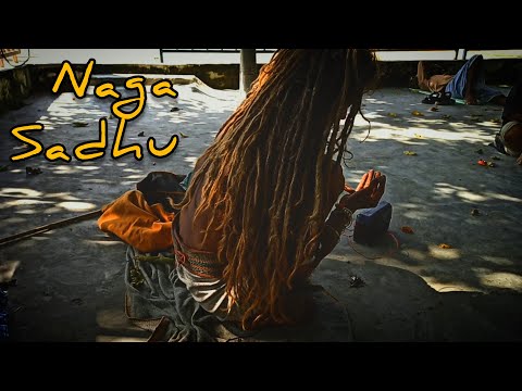 Naga sadhu- beautiful dreadlocks hair