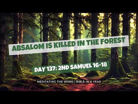 Day 137: 2nd Samuel 16-18