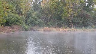 Sound of Rain by a Foggy Pond for Relaxing and Sleeping (ASMR) (1 hour long) (HD)
