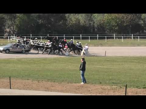 Trka "Čegar-Državno prvenstvo za grla od 3 god"  Alfa Varene-Stana Pejić