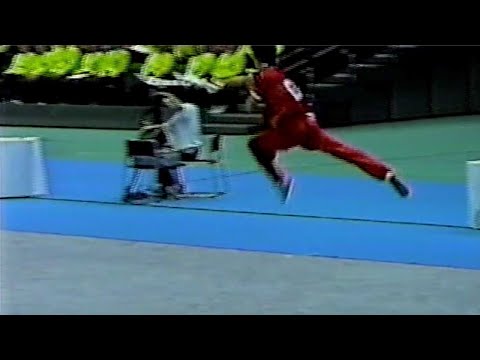【武術】第３回東アジア競技大会 大阪2001 (2001年)  男子刀術  208  杜宇航  (中国香港）｜Chobi Studio