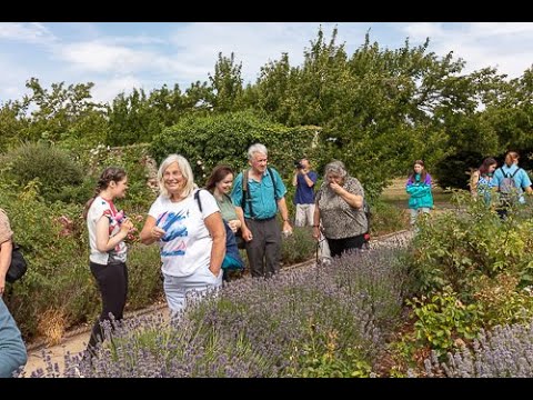 Sensory Walk 4, Waltham Abbey Gardens, Essex 