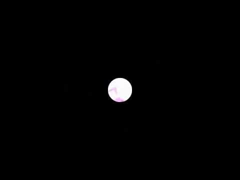 Emiluț VS Dani Mocanu